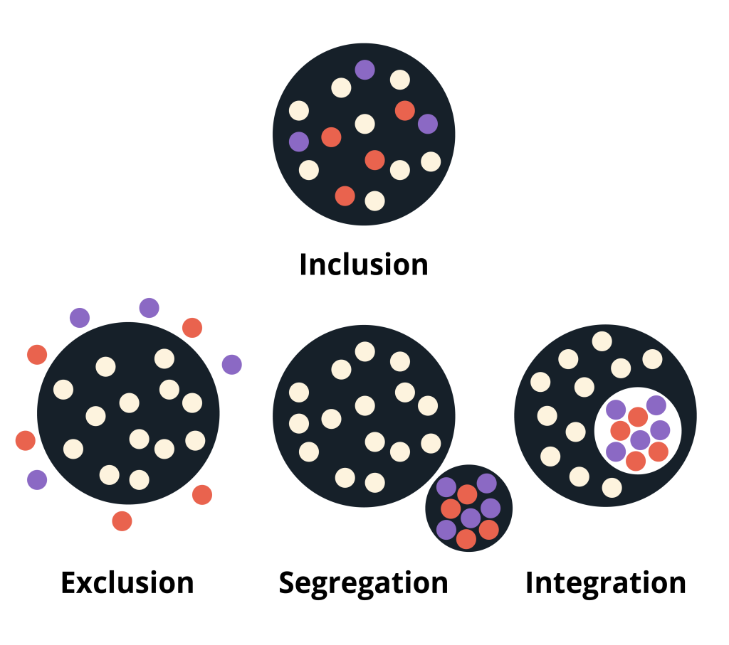 Inclusion as a Strategic Lever